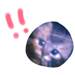 caat