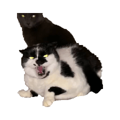 ayumi_20210704123615