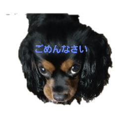 vivi_20210704110705