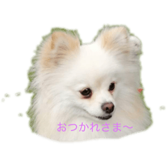 chie_20210704110650