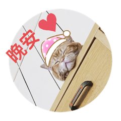 洗洗噗噗