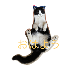 mitsuki_20210704141849