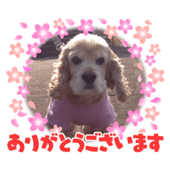kaori_20210704174741