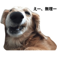 Natsumi_20210704113330