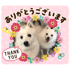 nanami_20210704212619