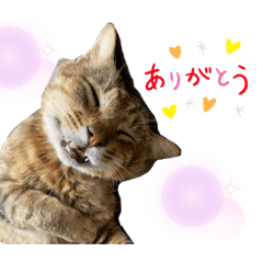 chibi_20210704220915