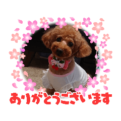 Dan_20210704232002