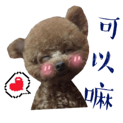 恩妹與二寶