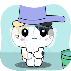 Cute calico cat 5 : daily