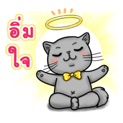 Nong Pong fat cat (Thai v.)