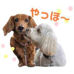 MIKI_20210704184309