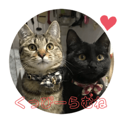 mizuki_20210704192507