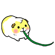 (Animated)Lovely guinea pigs