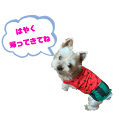 tomomi_20210704200547