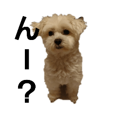 yamahide_20210705141508