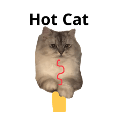 hot cat.