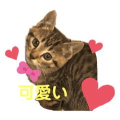 Suzu_20210704164640