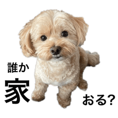 ayumi_20210705080051