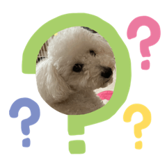 himawari_20210705101240