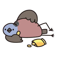 Lazy bird - Spotted Dove