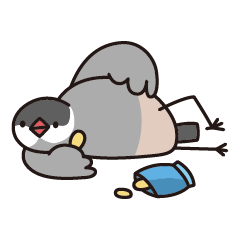 Lazy bird - Black Java sparrow