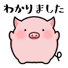 Round cute Pig