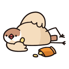 Lazy bird - Fawn Java sparrow