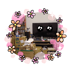 全世界最髒亂的房間