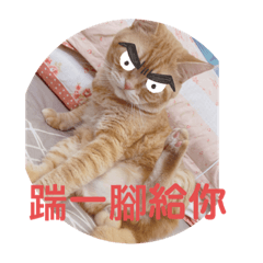 阿璞欸洗