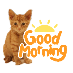 Nozomi_20210705215604