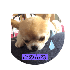 koko_20210705223915