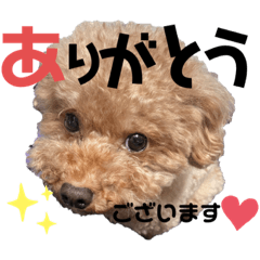 tomomi_20210705181102