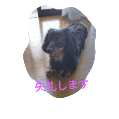 moka.