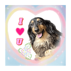 趴趴的生活日記2