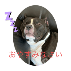 Tomomi_20210705195409