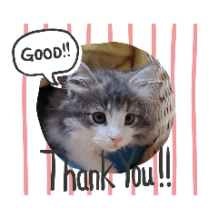 AYUMI_20210705213515