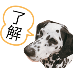 aoi_20210705212750