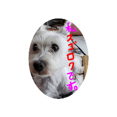 cocoa_20210706125243