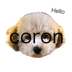 coron_20210705230554