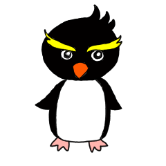 Rockhopper penguin ,etc