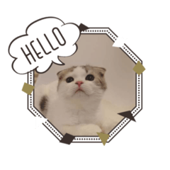 Ayumi_20210706105105