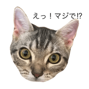 catEmma