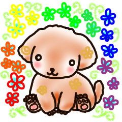 happy-toy poodle