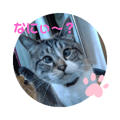 misatochida_20210706135228