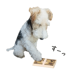 Wire Fox Terrier Stickers