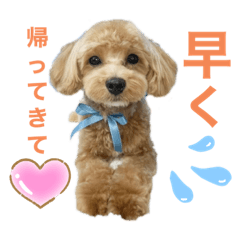 risa_20210706155429