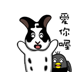 仔仔&Maru家族動起來part1