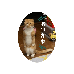 yuka_20210706175607