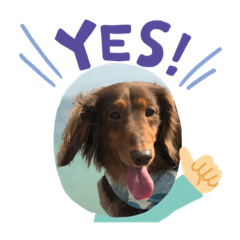 Junko_20210706104620