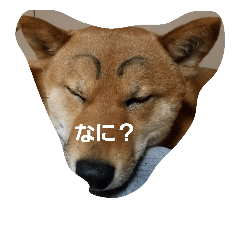 harushiba